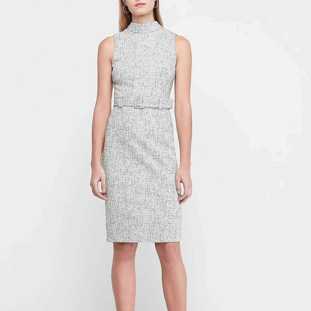 NWT Express Belted Mock Neck Dress
